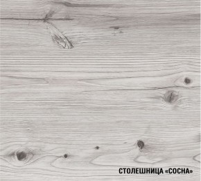АСАЯ Кухонный гарнитур Экстра (3000 мм) в Копейске - kopejsk.mebel-74.com | фото