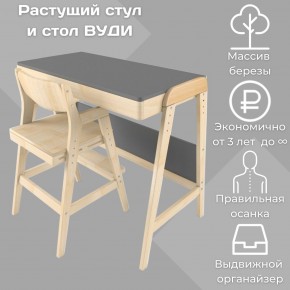Комплект растущий стол и стул 38 попугаев «Вуди» (Серый, Без покрытия) в Копейске - kopejsk.mebel-74.com | фото