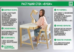Комплект растущий стол и стул 38 попугаев «Вуди» (Серый, Без покрытия) в Копейске - kopejsk.mebel-74.com | фото