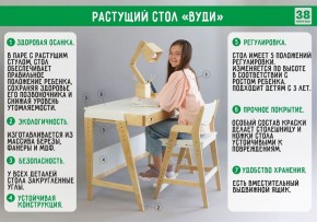 Комплект растущий стол и стул с чехлом 38 попугаев «Вуди» (Белый, Белый, Салют) в Копейске - kopejsk.mebel-74.com | фото