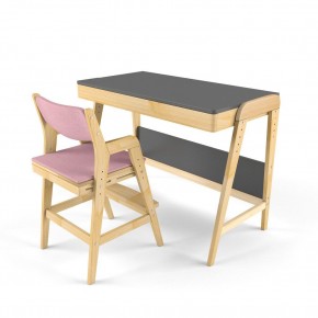 Комплект растущий стол и стул с чехлом 38 попугаев «Вуди» (Серый, Береза, Розовый) в Копейске - kopejsk.mebel-74.com | фото