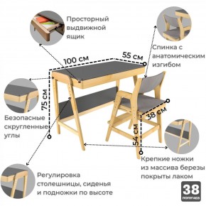 Комплект растущий стол и стул с чехлом 38 попугаев «Вуди» (Серый, Береза, Серый) в Копейске - kopejsk.mebel-74.com | фото