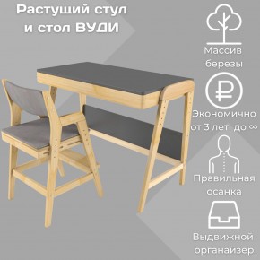 Комплект растущий стол и стул с чехлом 38 попугаев «Вуди» (Серый, Без покрытия, Серый) в Копейске - kopejsk.mebel-74.com | фото
