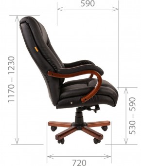 Кресло для руководителя CHAIRMAN  503 (Кожа) Черное в Копейске - kopejsk.mebel-74.com | фото
