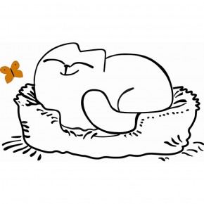 Кровать двухуровневая Кот № 900.1 ЛЕВАЯ (туя светлая/белый) в Копейске - kopejsk.mebel-74.com | фото