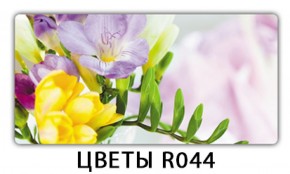 Обеденный раздвижной стол Бриз с фотопечатью Цветы R044 в Копейске - kopejsk.mebel-74.com | фото