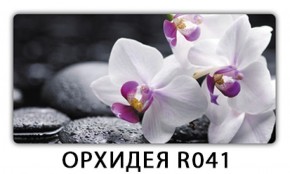 Обеденный раздвижной стол Бриз с фотопечатью Цветы R044 в Копейске - kopejsk.mebel-74.com | фото