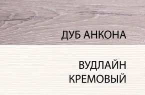 Шкаф 1DW, OLIVIA, цвет вудлайн крем/дуб анкона в Копейске - kopejsk.mebel-74.com | фото