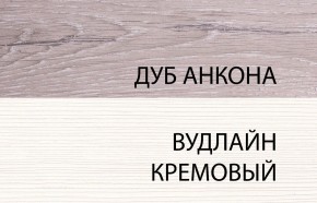 Шкаф 2DG, OLIVIA, цвет вудлайн крем/дуб анкона в Копейске - kopejsk.mebel-74.com | фото