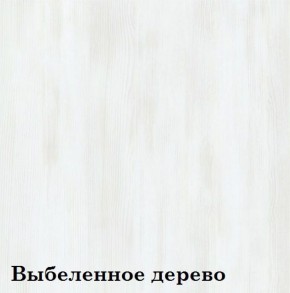 Шкаф 6-ти секционный Люкс 6 Плюс ЛДСП Стандарт (фасад Зеркало) в Копейске - kopejsk.mebel-74.com | фото