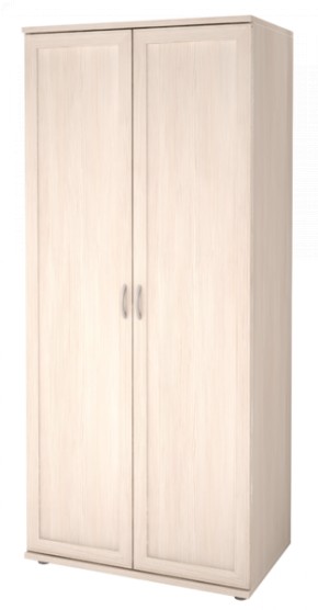Шкаф для одежды 2-х дверный Ника-Люкс 21 в Копейске - kopejsk.mebel-74.com | фото
