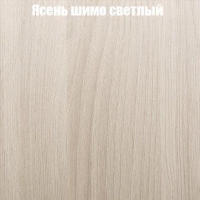Шкаф-купе «ТАНДЕМ» 2-х дверный в алюминиевом профиле (Дверь ЛДСП+Z) 1400/h2200 в Копейске - kopejsk.mebel-74.com | фото
