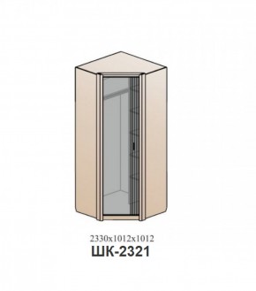 Шкаф ШЕР Дуб серый/айронвуд серебро (ШК-2321) в Копейске - kopejsk.mebel-74.com | фото