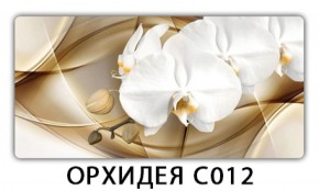 Стол раздвижной Трилогия с фотопечатью Орхидея C013 в Копейске - kopejsk.mebel-74.com | фото