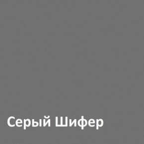 Юнона Шкаф торцевой 13.221 в Копейске - kopejsk.mebel-74.com | фото